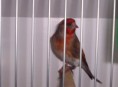 /album/fotogaleria/februar-2013-122-jpg/